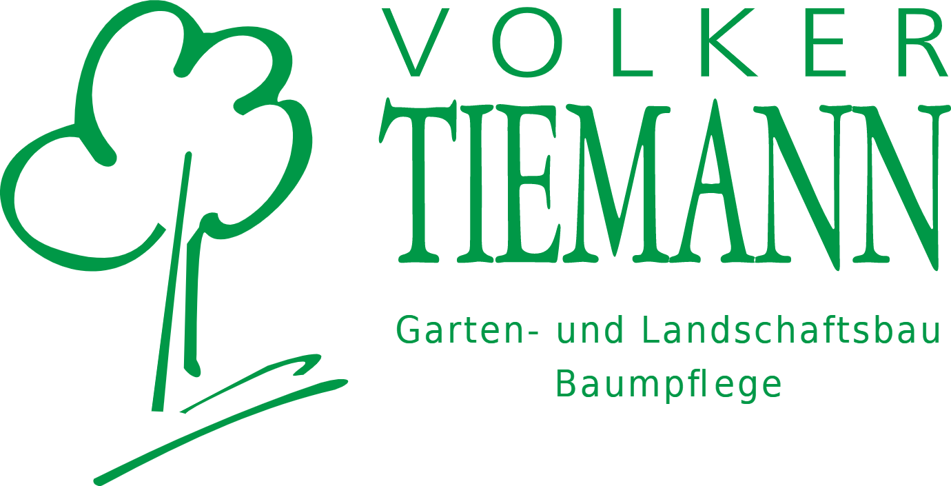 Tiemann 2023